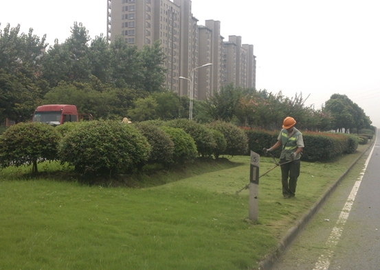 江陰綠化養(yǎng)護