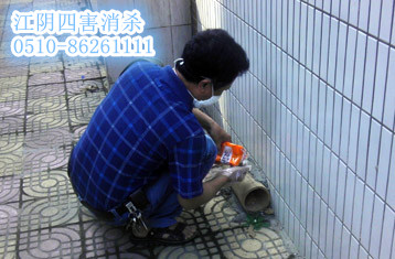 江陰四害消殺 靖江四害消殺 江陰保潔公司
