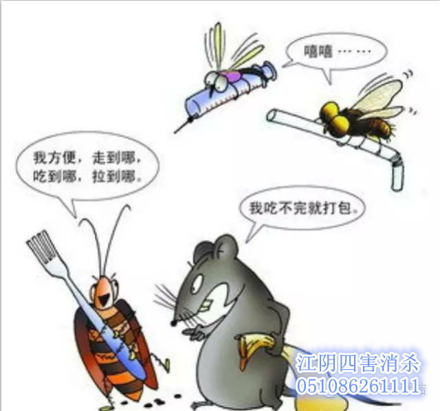 江陰四害消殺 靖江四害消殺 江陰保潔公司